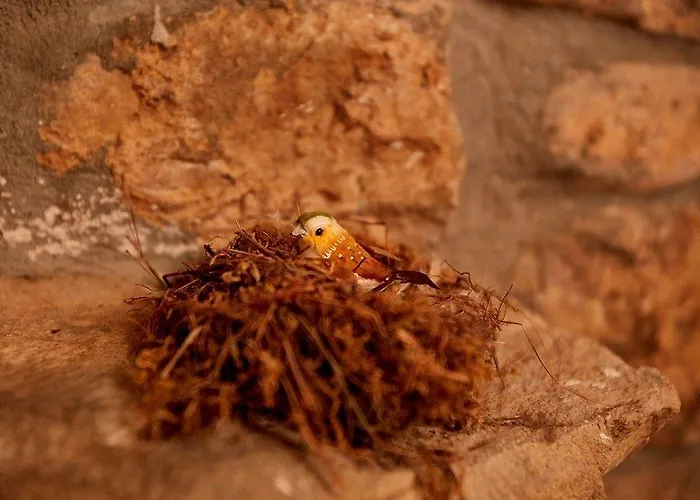 Rural Ochohermanas Penzion Las Fraguas